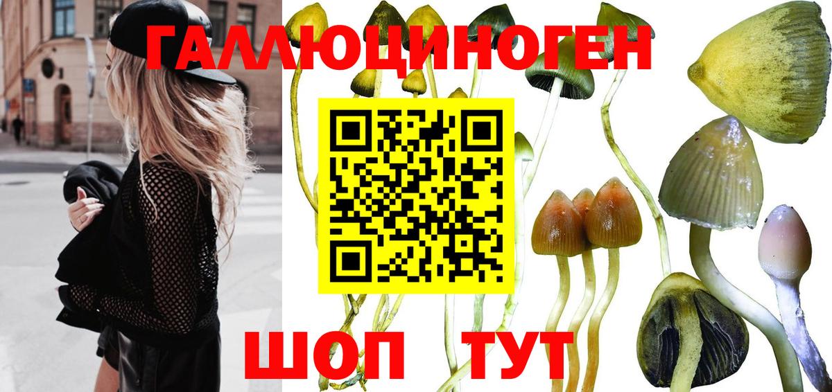 Галлюциногенные грибы Magic Shrooms  где найти наркотики  Медногорск  Вход с VPN 